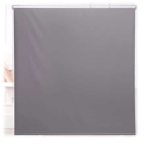 Relaxdays Cortina Enrollable Ducha Cadena, Estor Traslúcido, Repele el Agua, Montaje Techo/Pared, 160x240 cm, Gris