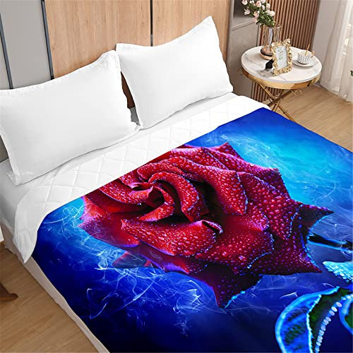 Odot Tagesdecke Bettüberwurf Steppdecke für Doppelbett Einzelbett Kinder, 3D Blumen Bettdecke Stepp Decke Tagesdecken mit Präge Wohndecke Gesteppt Klimaanlage (200x230cm,Feuerwerks Rose)