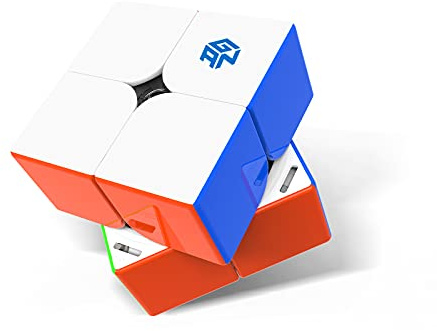 GAN 251 M Pro Cubo de Velocidad 2x2 Magnético,Stickerless Speed Cube Mini Cubo Mágico 56 Imanes/3 Tipos de Magnetismo/4 Tipos de Elasticidad,Juguete para Principiantes (Superficie esmerilada)