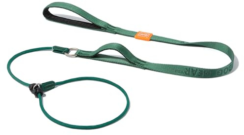 HowGo Slip Lead Dog Leash with Padded Handles | Lightweight Dog Training Leash with 360°Swivel Anti-Tangle | Heavy-Duty Lead and Collar for Large Medium and Small, No-Pull Walking (Green, 5.0FT)