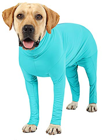 Etdane Hund Onesie kirurgi återhämtningsdräkt förhindrar att man fäller hår, overaller, sportskjorta, ångest, overaller (XXX-Large, blå) .