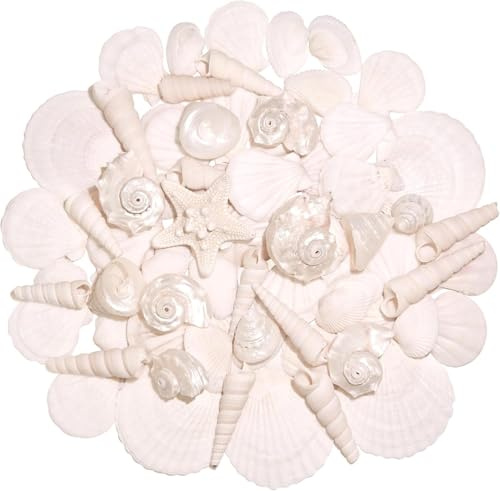 SKOOLOVE Silver White Sea Shell Mixed Ocean Shells Set, 3-6.6cm Various Sizes Natural Seashell & Starfish for Beach Themed Decor, DIY Crafts, Vase Fillers, Fish Tank, Home, Wedding & Party Decoration