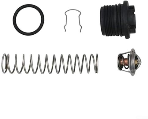 EpheyFIF Regulador Térmico 77707-0010 Accesorio para Calentador de Piscina y Spa, Construcción de Metal Plástico, 16x6x6cm