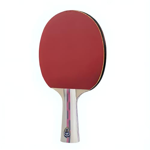 Raqueta de tenis de mesa de 2 estrellas, 5 capas, profesional, ideal para principiantes y jugadores aficionados, mango ergonómico y superficie antideslizante para mayor control