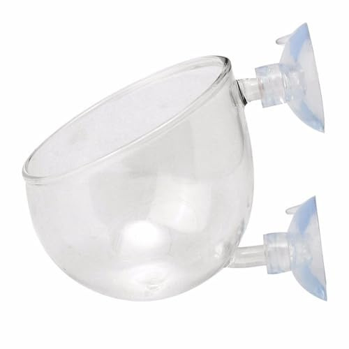 SHYYOULQE Coppe per piante in vetro con ventosa per piantare acqua, supporto paesaggistico in vetro trasparente con ventosa per piante acquatiche in vetro