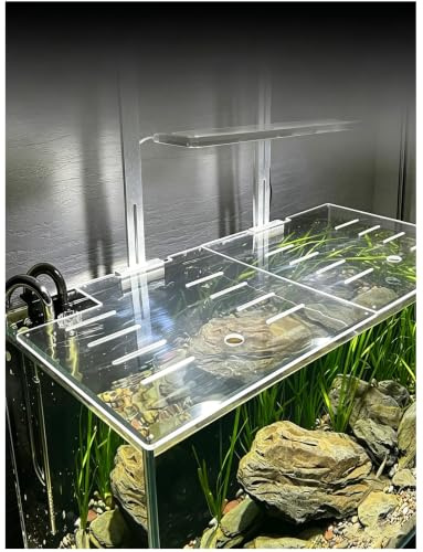 Akryllock till akvariet med matardörr | Genomskinlig 120x50cm Akvariumlock: Design av matningsdörr