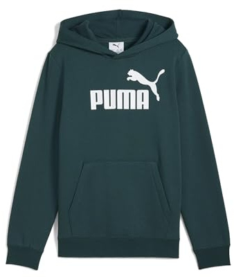 ESS No. 1 Logo Hoodie FL B