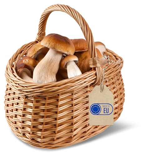 Creative Home Cestino in Vimini con Manico, Cesta Marrone Naturale | Cesto Funghi Picnic | 43 x 33 x 40 cm | Intrecciato Fatto a Mano Durevole | Salice Naturale Marrone Spesso | Multiuso