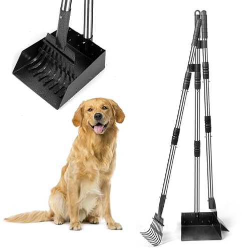 YGNNXRN Recogedor de Excrementos para Perros – Mango Largo de 96CM con Bandeja, Rastrillo y Pala – Set de Acero Desmontable para Perros Grandes, Medianos y Pequeños – para Jardín, Césped o Grava