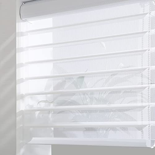 Tonature Custom Cut to Size Shangri-La Window Roller Shades Sheer Shades Light Filtering Room Darkening Solar Roller Blinds UV Protection Light Control for Day and Night Soft White XG6013-1