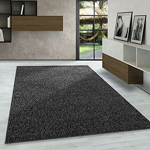 Tappeti a Pelo Corto, Colore Antracite, Unicolor-monocroma, 107401, Tappeto Rettangolare, Tappeto Soggiorno, 200 x 290 cm