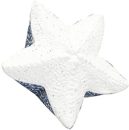 JEWEDECO Boîte De Présentation Élégante En Céramique Pour Le Rangement Des Boucles Doreilles