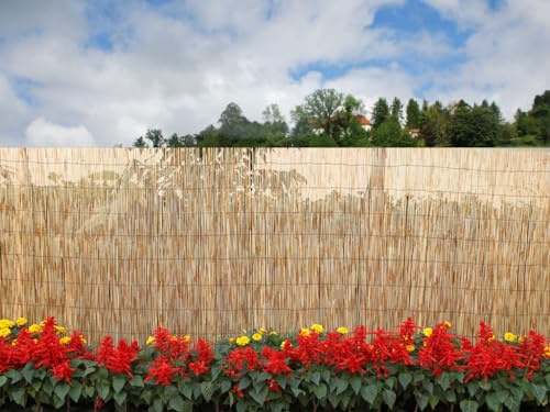 Home Tresor - Frangivista per Recinzione Bamboo, Arella in bambù, Stecche Staccionata Canne Ombreggianti per Balcone Giardino da Esterno 1x5 mt