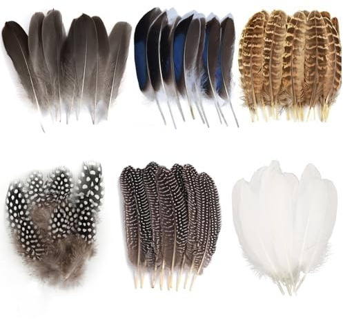 60 Pcs Feathers for Crafting, Feather Headdress Feathers for Hats and Fascinators, Feather Decorations Fors DIY Crafts Craft Embellishments Earrings Headdress Flowers Home Holiday Decoration