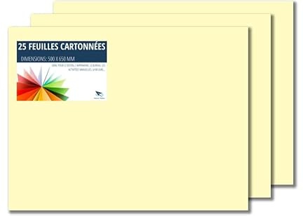 Raylu Paper – Papier Cartonné 50 x 65 cm Coloré, 25 Feuilles Cartonnées, Papier Epais de Couleur, pour l’Ecole, le Bureau, le Scrapbooking, les Activités Manuelles, 180g/m² (Crème)