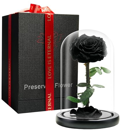 LOVAPPY Forever Preserved Rose - Eternal Rose in Glass Dome - Beauty and The Beast Rose for Mom - Fresh Flowers (Black, 9 inch)