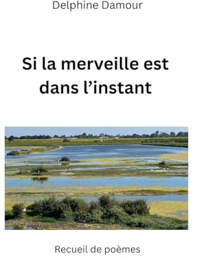 Si la merveile est dans l'instant: Recueil de poèmes