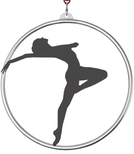 Quixnova Aerial Lyra Hoop, 2,5 cm Rohrdurchmesser, Einzelpunkt, Aerial Dance, Zirkusring für Yoga, Akrobatik, Gymnastik, Edelstahl, Aerial-Ausrüstung,85cm