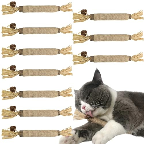 Bâtonnets Herbe à Chat,10pc Bâtonnets à Mâcher Matatabi,Baton Chat,Bâtonnets d'herbe à Chat Matatabi,Ensemble de Bâtons à Mâcher pour Chats,Jouets pour Chats,Soins Dentaires,pour Se Brosser Les Dents