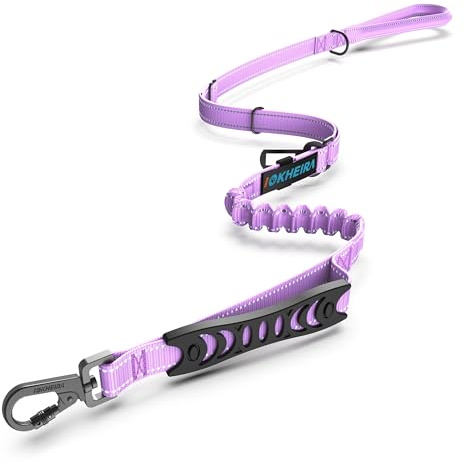 Iokheira Bungee Cane Conduce forte guinzaglio cane assorbire gli urti con 2 comode maniglie imbottite auto cintura di sicurezza fibbia, regolabile corda guinzaglio cane (Rosa)