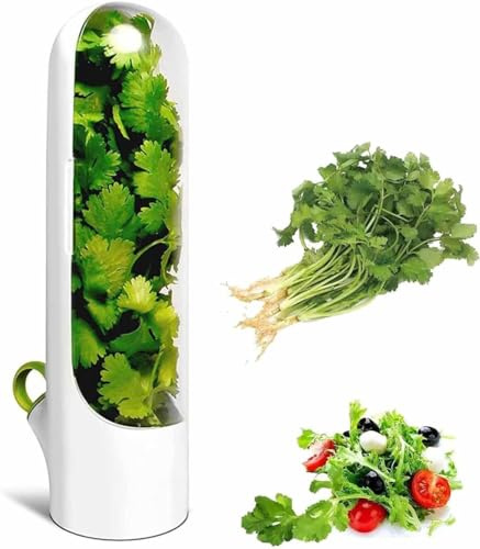 JUPPLIES Conservador de Hierbas Frescas - Porta Hierba Almacenaje de Hierbas para Frigorifico - Recipiente Contenedor de Hiebas y Verduras 6,5 x 8,5 x 25,5 cm