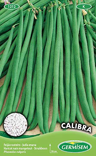 Germisem Calibra Semillas de Frijol Francés 100 g