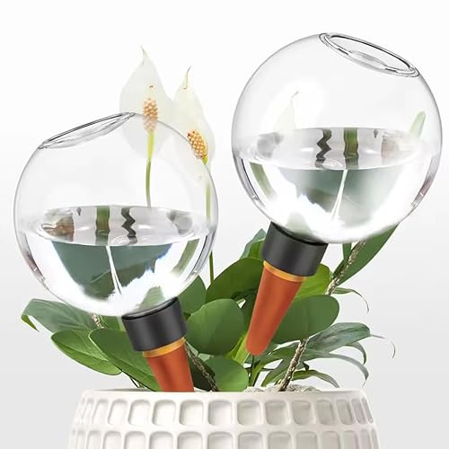 Aodejoy Dispositif D'Arrosage Automatique en Forme de Boule 500ml, Globes D'Arrosage de Plantes, Spike D'Arrosage, Dispositif D'Arrosage Portable, Globes D'Arrosage d'eau pour La Maison (2 Pcs)
