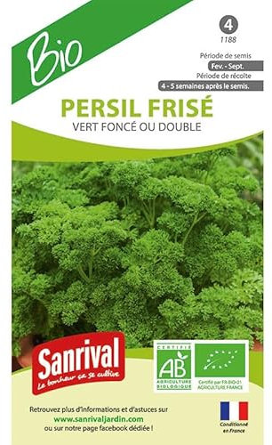 Graines Persil Frisé BIO vert foncé ou Double