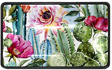 Ink Paint Cactus Red Rose Flowers Drawer Pull Handle 4Pcs for Dresser Kitchen Cabinets Wardrobe