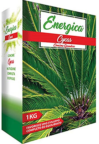 CONCIME GRANULARE CYCAS Kg. 1