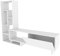 Decorotika Pegai Modern White TV Stand with Storage Shelves for Living Room, Bedroom, Entertainment TV Unit for TVs Up to 55 inch - White