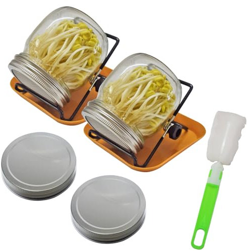 JINLICOME 2Pcs Sprouts Growing Kit Sprouting Jar Kit Sprouting Lids for 2Pcs Large Wide Mouth Mason Jars for Growing Broccoli, Alfalfa, Mung Bean. (16 oz)