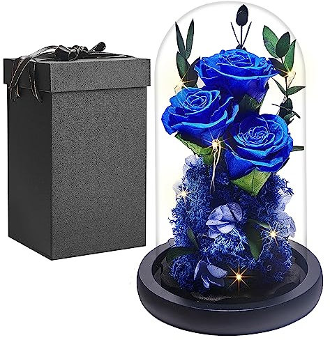 PISKEKAT Real Rosa Eterna en Cúpula de Cristal, Mujer Regalo Cumpleaños, La Bella y La Bestia Rosa Preservada Flor, San Valentin Aniversario Madre Regalo Mamá Esposa Novia Abuela Regalo
