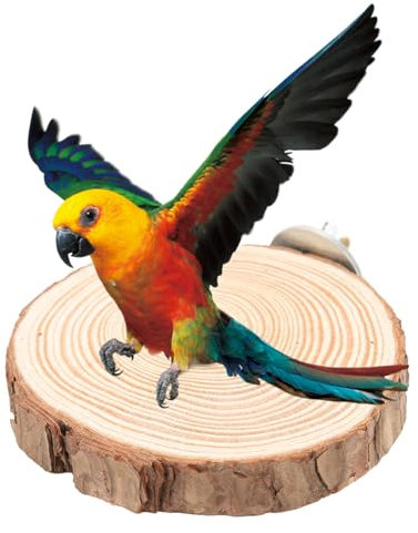 Vogel Sitzbrett Runde Holz Sitzstangen für Vogel Papagei Nymphensittich Käfige Kork Sitzbrett Papagei Holzständer Vögel Barsch Plattform für Vögel Wellensittich Nymphensittich(10cm)