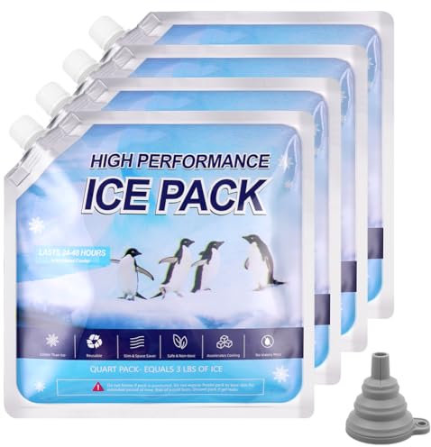 flintronic 4PCS Ice Pack, Premium Kühlakkus für Kühltasche, Hochleistungsfähig, Kühlbox, Kühlrucksack, kühlpack, Extra Lange Kühldauer, Wiederverwendbar, 25 * 25CM
