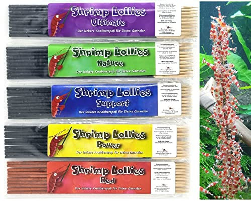 Shrimp-Lollies-Set groß (5x10 Stück = 50 Stück!)
