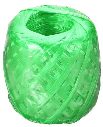 PATIKIL Corde en Polyester Nylon Plastique de 180m/590Ft, Rouleau de Cordes de Paquets de Ficelle de ménage pour Le Jardinage, l'emballage, l'artisanat DIY, Vert