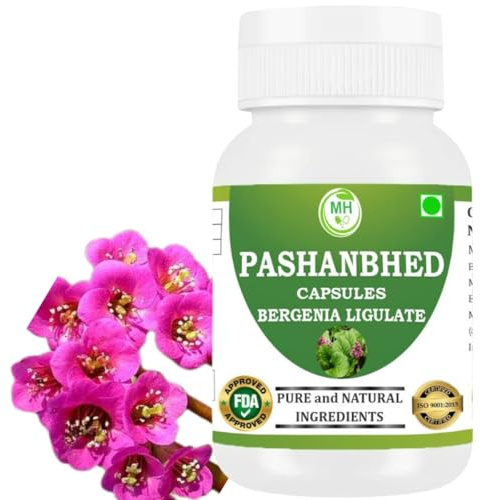 Morsan Healthcare Pashanbhed (Bergenia ligulata) Powder Capsules | Ayurvedic Herbal Supplement | 100% Pure Extract | Vegetarian & Vegan | 500 mg per Serving | 60 Veg Capsules