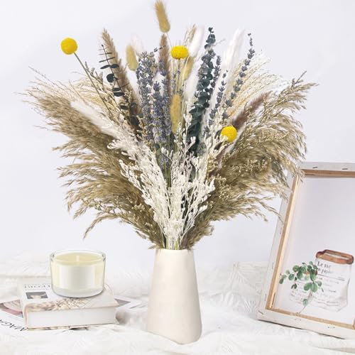 BUOAZR 100 Stück Pampasgras Getrocknet, Natürliche Trockenblumen Strauß, mit Bunny-Tails-Trockenblumen, Weißes Pampasgras, für Hochzeiten, Wohnkultur, Boho-Tischdeko
