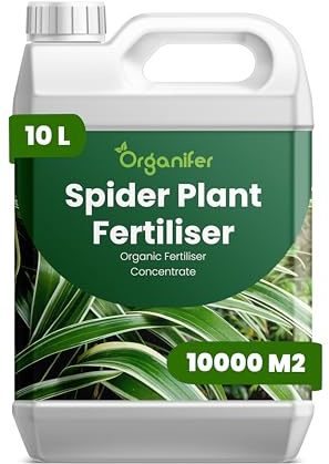 Fertilizante Líquido Para Planta Araña 10L – Abono Orgánico Para Hojas Saludables Y Crecimiento Fuerte – Refuerza Raíces Y Vitalidad – Organifer