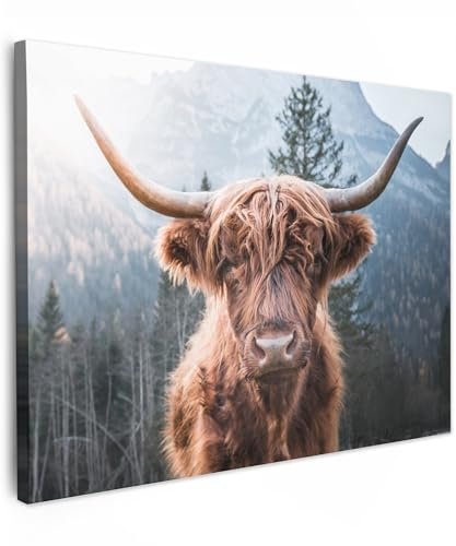 MuchoWow© Wandbilder 70x50 cm Wohnzimmer Wanddeko Schlafzimmer Zimmerdeko Fotowand Zimmer Deko Wand Dekoration Wall Art Kuh Leinwand - Schottisches Hochlandrind - Highland Cow Bild - Tiere