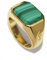 Rock & Steel 'Neptune' Herren Silber Ring Siegelring mit Malachite Stein aus 925 Sterling Silber (Gold, 69 (22.0 mm))