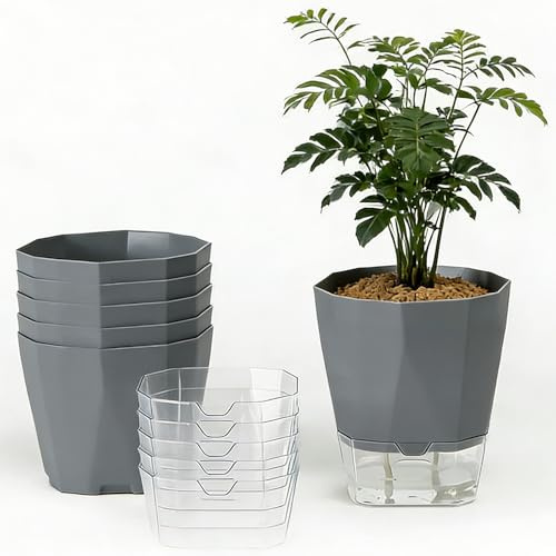 EUBSWA Vaso per piante da interno esterno - 6 pezzi vaso autoirrigante in plastica, Ø 12,5 x H 13,5 cm, per erbe, balcone, cucina(grigio)