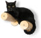 HOME FOOTPRINT - Cat Stairs Wall - Climbing Wall Cats - Climbing Cat Ladder - Cat Climbing Wall Set - Cat Climbing Wall - Scratching Wall for Large and Small Cats - Reversible