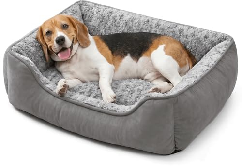 Oiilores Dog Sofa Bed Washable for Small Medium Dogs, Soft Plush Calming Beds with Non-Slip Bottom - Anti-Anxiety Rectangle Puppy Mat (60 x 45 cm, Grey)