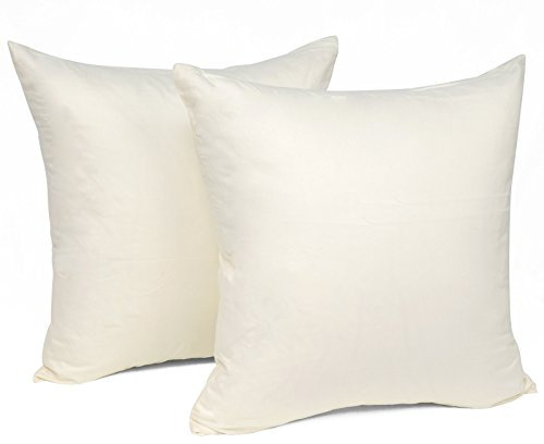 WOLTU 2er Set Kissenbezug 45x45 cm Creme Baumwolle, Nur Kissenbezug - Kissenbezüge Kopfkissenbezug mit Reissverschluss,Weicher Sofakissenbezug, Doppelpack Dekokissenbezug