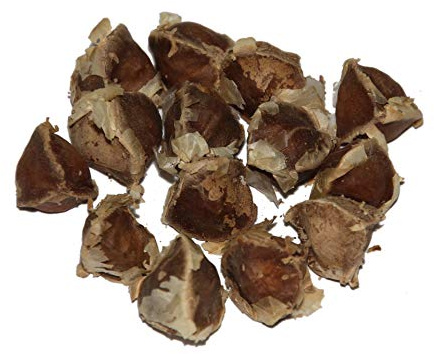 Semi di Moringa Oleifera, 100 Unità, Zona di Crescita 10-11, per Coltivazione Outdoor