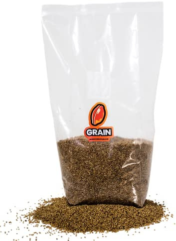 MushroomSupplies.com Sac de grains stérilisés pour la culture des champignons | Substrat de millet | Kit de culture Mycobag filtre 0,2 micron | Fournitures de culture mycologie (1,4 kg)