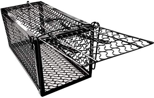 Piège À Cage Pour Rats Sans Cruauté Pour Rats, Souris, Écureuils Et Autres Rongeurs De Taille Similaire