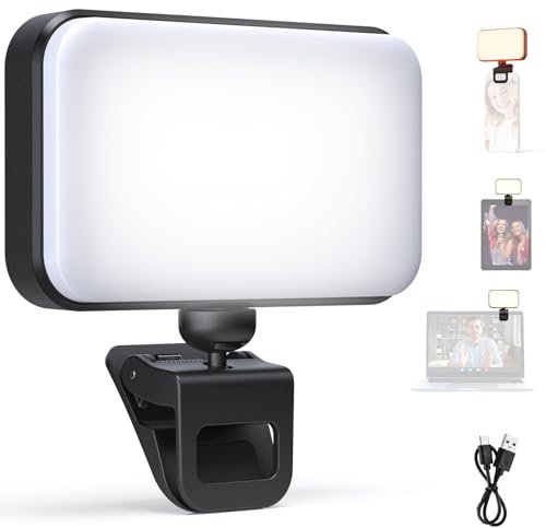 NEEWER Entry Level Version LED Selfie Luz, Plástico Clip on Luz Relleno Foco Móvil, 66 LED CRI92 Portátil para Computadora Laptop Webcam Zoom Videoconferencia Maquillaje Grabación Streaming, N6